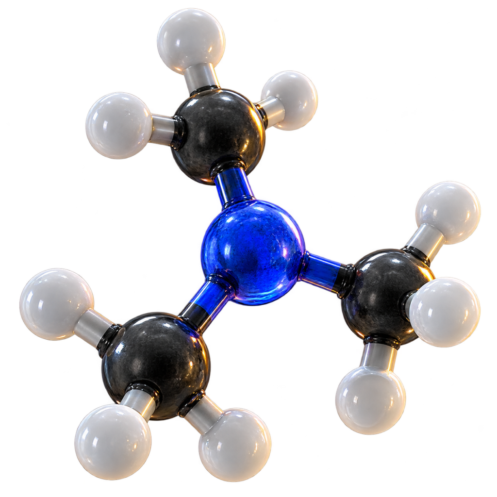 3D-Modell des Molek&uuml;ls Trimethylamin